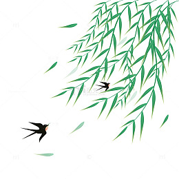 春天绿色小清新柳树柳条元素