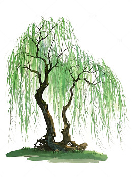 古朴垂柳素材插画