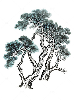 蓝绿色调松树插画