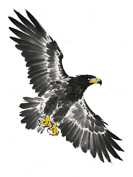 翱翔雄鹰水墨插画