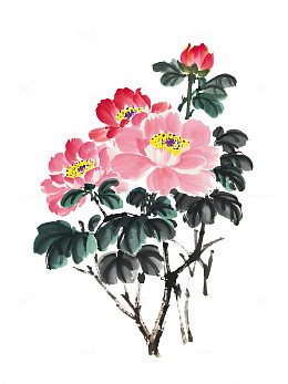 水墨粉色牡丹花卉素材