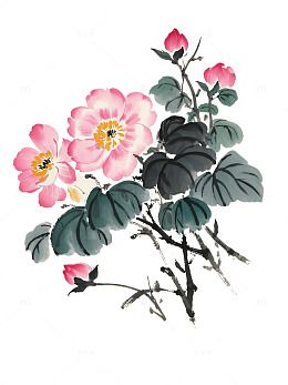 水墨粉色花卉枝条插画