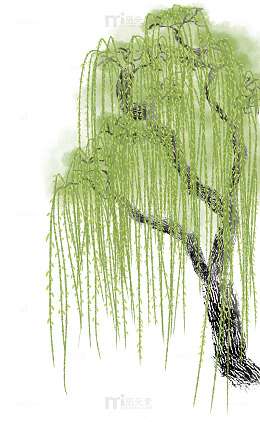 春季柳树元素插画