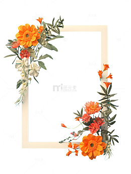 花朵边框卡通花束橙色