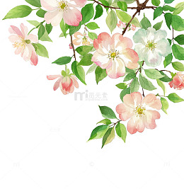 粉白色手绘花卉枝插画素材