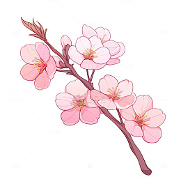 一支手绘的桃花