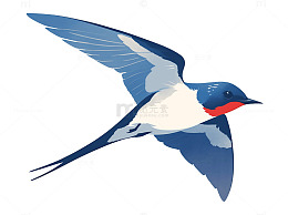 一只飞行的燕子