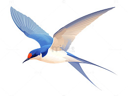 飞行的燕子卡通