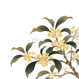 桂花中秋月亮