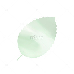 浅绿清叶简约自然