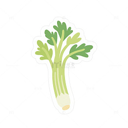 芹菜蔬菜手绘