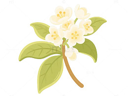 一支桂花元素