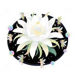 白色昙花插画