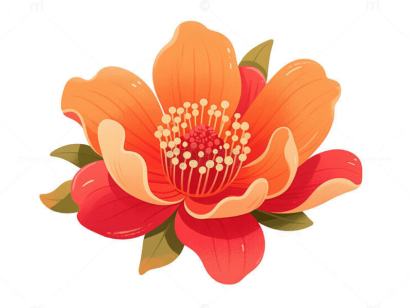 石榴花花朵元素