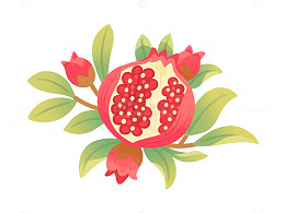 石榴花石榴元素