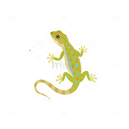 壁虎可爱插画