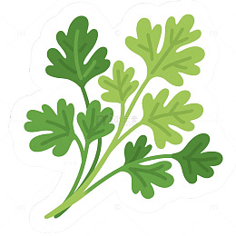 香菜卡通手绘