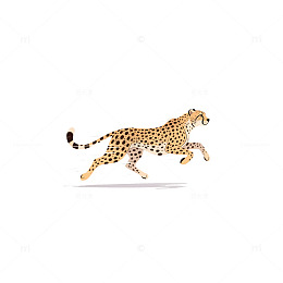 猎豹奔跑残影