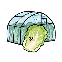 大棚白菜卡通