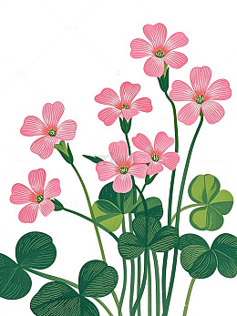 扁平插画粉色花