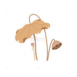 枯叶荷叶荷花1
