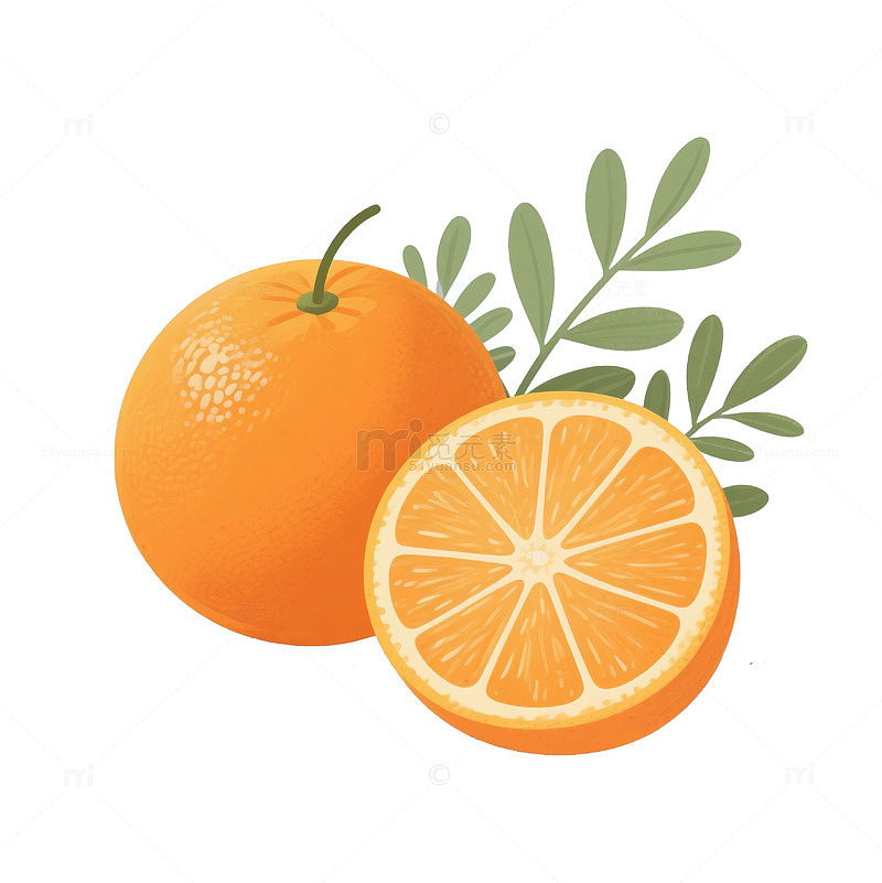 夏天水果橙子海报元素