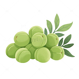 夏天水果青梅海报元素