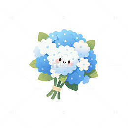 蓝白渐变绣球花束