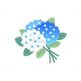 绣球花花球蓝白色