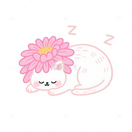 可爱打呼噜的菊花小猫