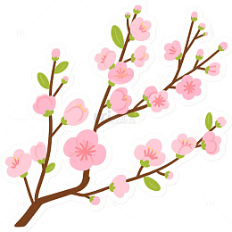 一支粉色的梅花