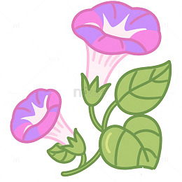 牵牛花喇叭花
