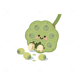 莲蓬莲子脱落