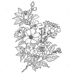 手绘凌乱黑白线稿鲜花