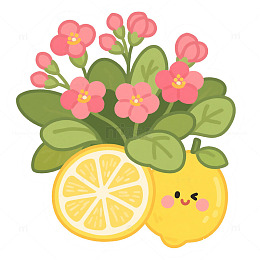 长寿花和柚子