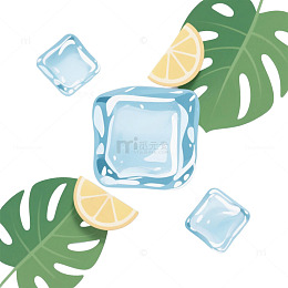 夏天椰树度假冰块柠檬树叶