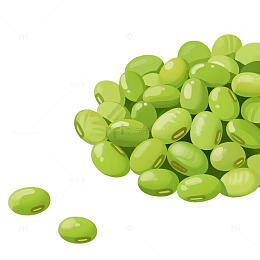 绿色豆子芸豆卡通插画元素食物