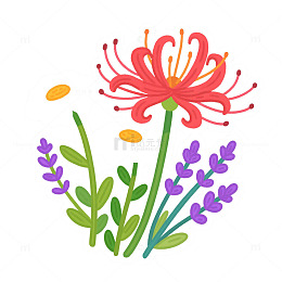 彼岸花雏菊薰衣草