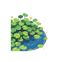 浮萍聚集池塘角