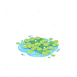 浮萍聚集池塘角1