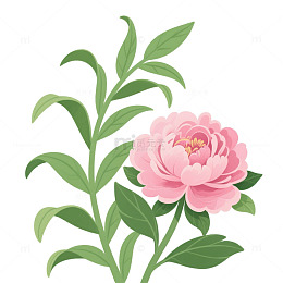 绿萝和牡丹花卡通3