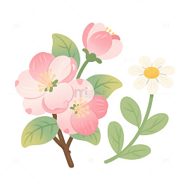 海棠花和雏菊