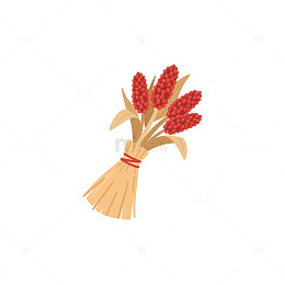 高粱帚颗粒红色2