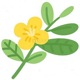 黄色的花瓣和绿色的叶子