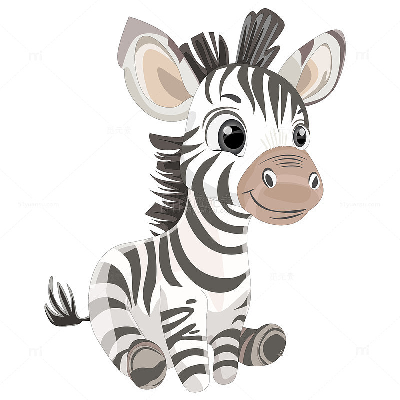 卡通风可爱小斑马看图识物动物卡片教育插画
