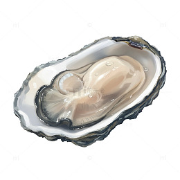 插画手绘生蚝