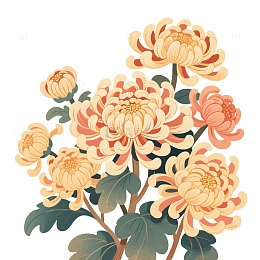 长寿吉祥菊花图 重阳节免抠素材