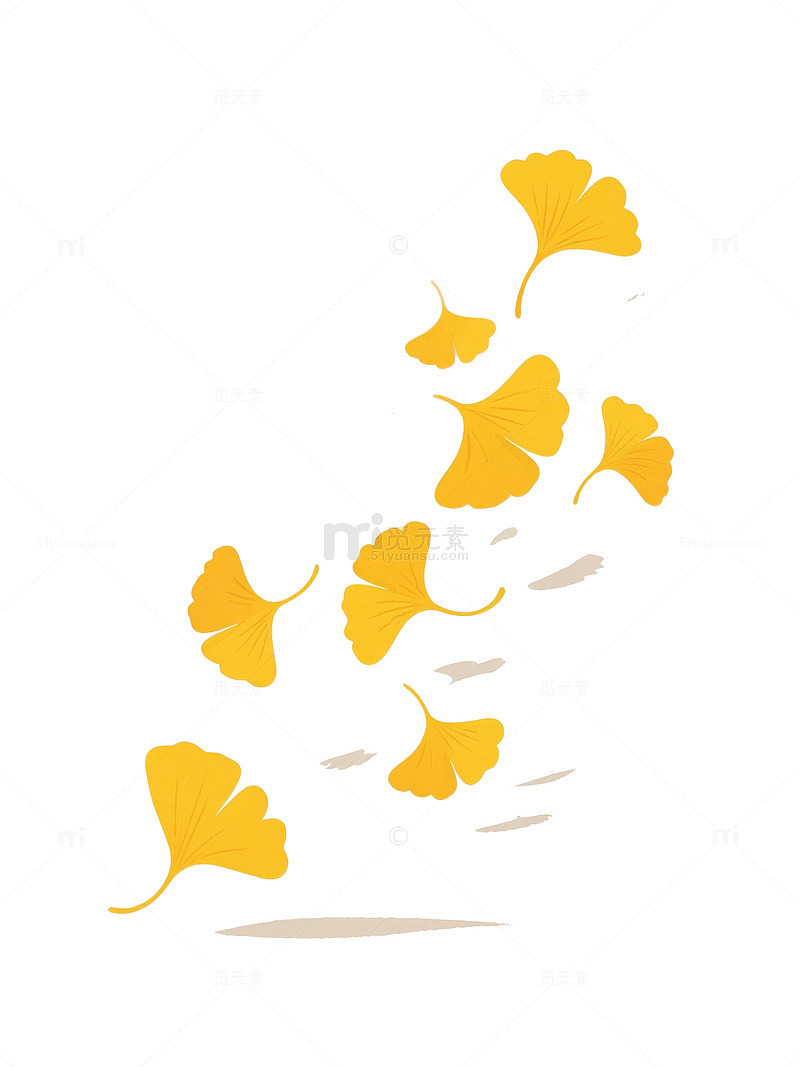 飘落银杏叶立冬免抠素材