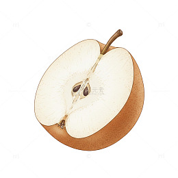 插画梨子卡通12