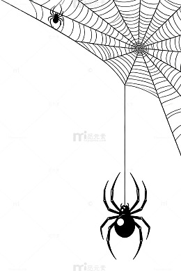 黑白蜘蛛网万圣节素材插画